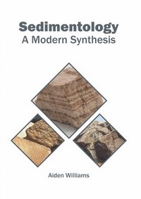 bokomslag Sedimentology: A Modern Synthesis