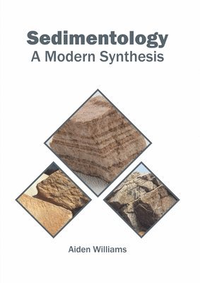 bokomslag Sedimentology: A Modern Synthesis