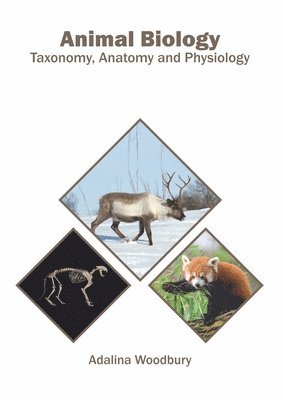 bokomslag Animal Biology: Taxonomy, Anatomy and Physiology