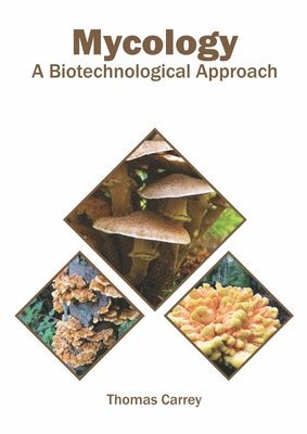 bokomslag Mycology: A Biotechnological Approach