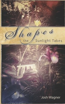 Josh Wagner - Shapes the Sunlight Takes, Häftad