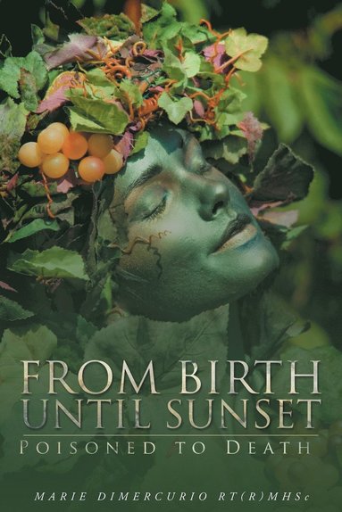 bokomslag From Birth Until Sunset