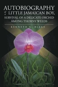 bokomslag Autobiography Of A Little Jamaican Boy, Survival Of A Delicate Orchid Among Thorny Weeds