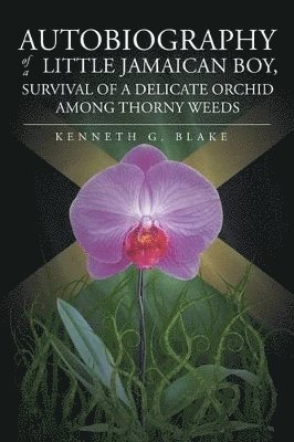 Autobiography Of A Little Jamaican Boy, Survival Of A Delicate Orchid Among Thorny Weeds 1