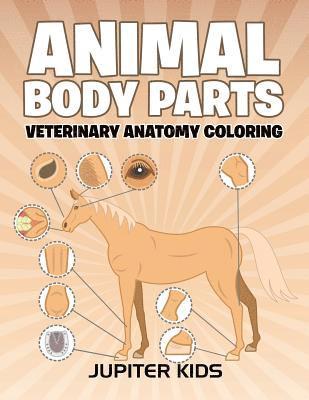 Animal Body Parts 1