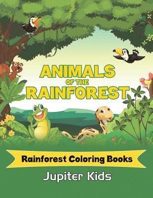 Animals Of The Rainforest 1