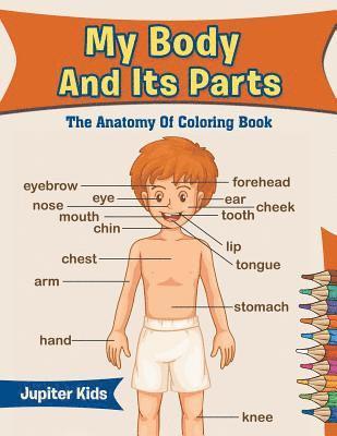 bokomslag My Body And Its Parts