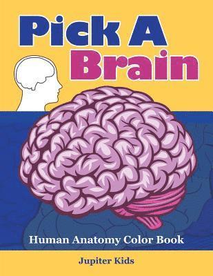 bokomslag Pick A Brain