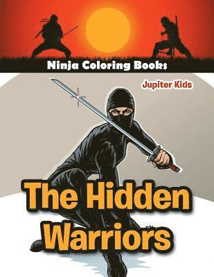 bokomslag Hidden Warriors
