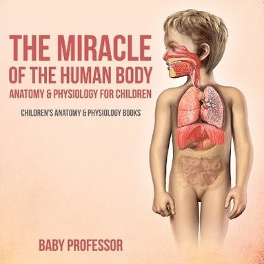 bokomslag Miracle of the Human Body