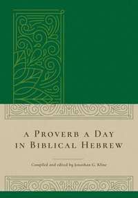 bokomslag A Proverb a Day in Biblical Hebrew