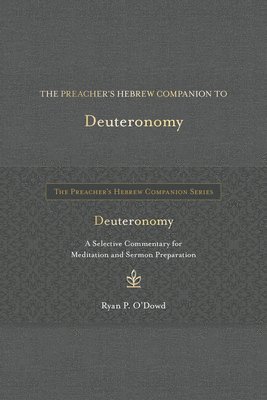 The Preacher's Hebrew Companion to Deuteronomy 1