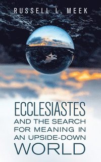 bokomslag Ecclesiastes and the Search for Meaning in an Upside-Down World