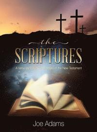 bokomslag The Scriptures