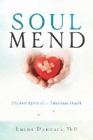 bokomslag Soul Mend
