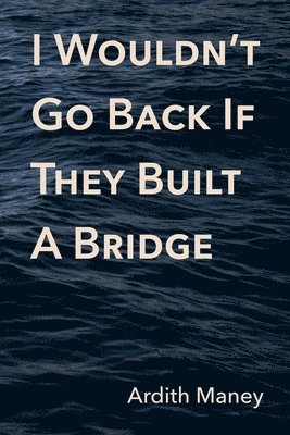 I Wouldn't Go Back If They Built A Bridge 1