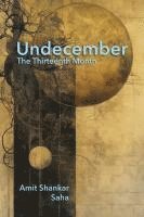 bokomslag Undecember