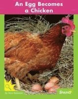 Nick Rebman - An Egg Becomes a Chicken, Häftad
