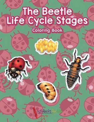 bokomslag Beetle Life Cycle Stages Coloring Book