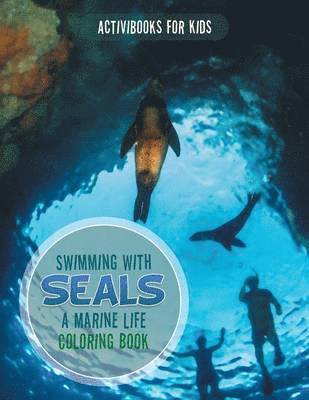 Swimming with Seals 1