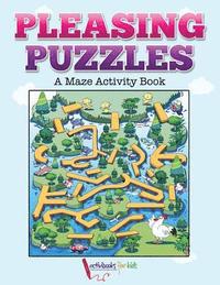 bokomslag Pleasing Puzzles