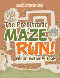 bokomslag Prehistoric Maze Run! A Fun Activity Book