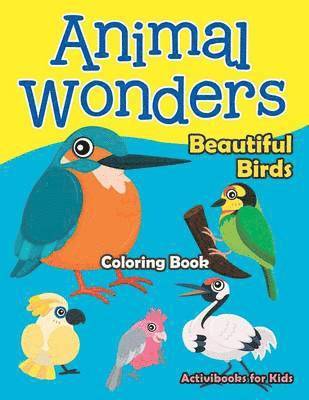 bokomslag Animal Wonders