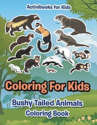 bokomslag Coloring For Kids