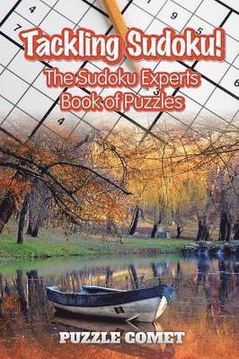 Tackling Sudoku 1