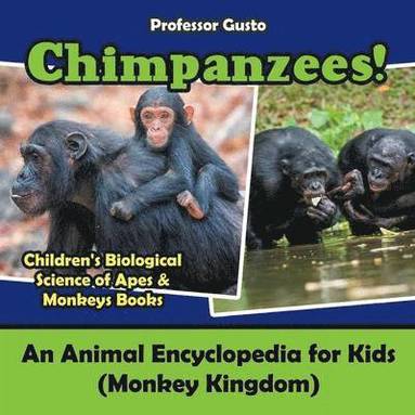 bokomslag Chimpanzees! An Animal Encyclopedia for Kids (Monkey Kingdom) - Children's Biological Science of Apes & Monkeys Books