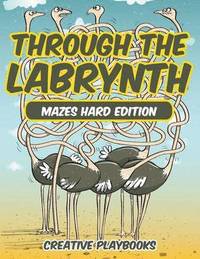 bokomslag Through the Labyrinth Mazes Hard Edition