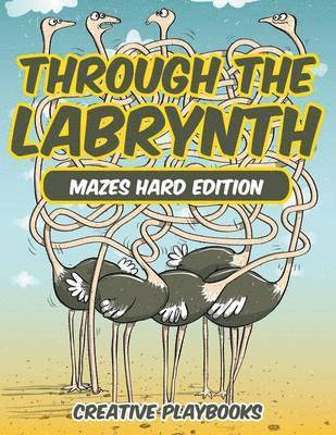 Through the Labyrinth Mazes Hard Edition 1