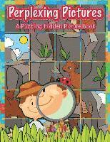 bokomslag Perplexing Pictures: A Puzzling Hidden Picture Book