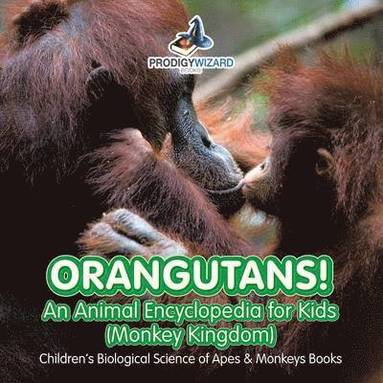Prodigy Wizard - Orangutans! An Animal Encyclopedia for Kids (Monkey Kingdom) - Children's Biological Science of Apes & Monkeys Books, Häftad
