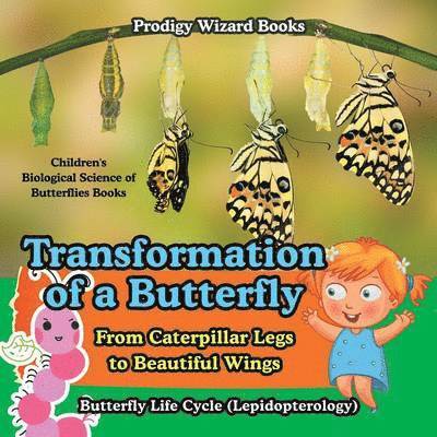 Transformation of a Butterfly 1