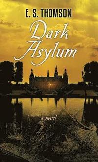bokomslag Dark Asylum