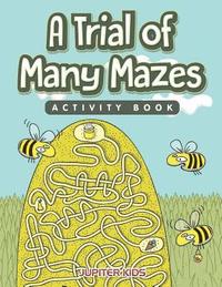 bokomslag Trial of Many Mazes Activity Book