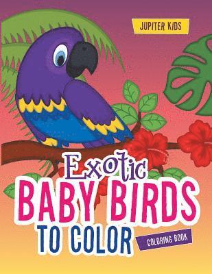 bokomslag Exotic Baby Birds to Color Coloring Book