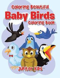 bokomslag Coloring Beautiful Baby Birds Coloring Book
