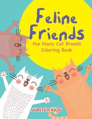 Feline Friends 1