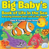 bokomslag Big Baby's Book of Life in the Sea