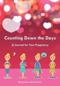 bokomslag Counting Down the Days - A Journal for Your Pregnancy