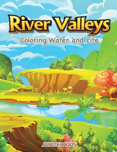 bokomslag River Valleys