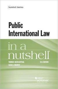 bokomslag Public International Law in a Nutshell