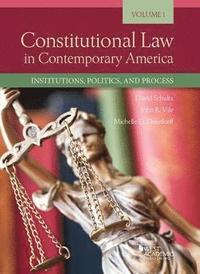 bokomslag Constitutional Law in Contemporary America, Volume 1
