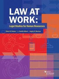 bokomslag Law at Work