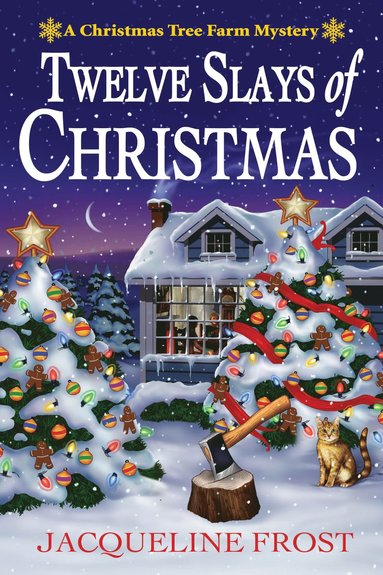 bokomslag Twelve Slays of Christmas