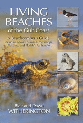 Living Beaches of the Gulf Coast 1