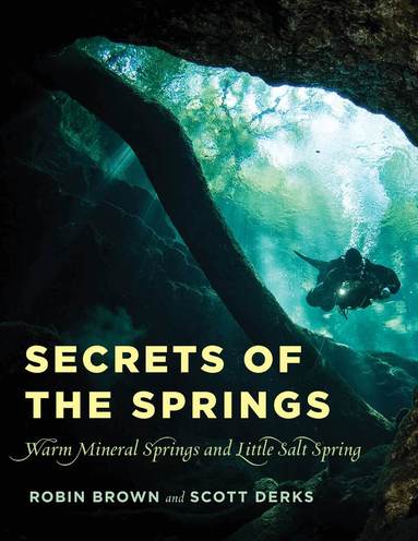 Robin Brown, Scott Derks - Secrets of the Springs, Häftad