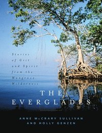 bokomslag The Everglades